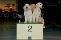 koppels zondag_2